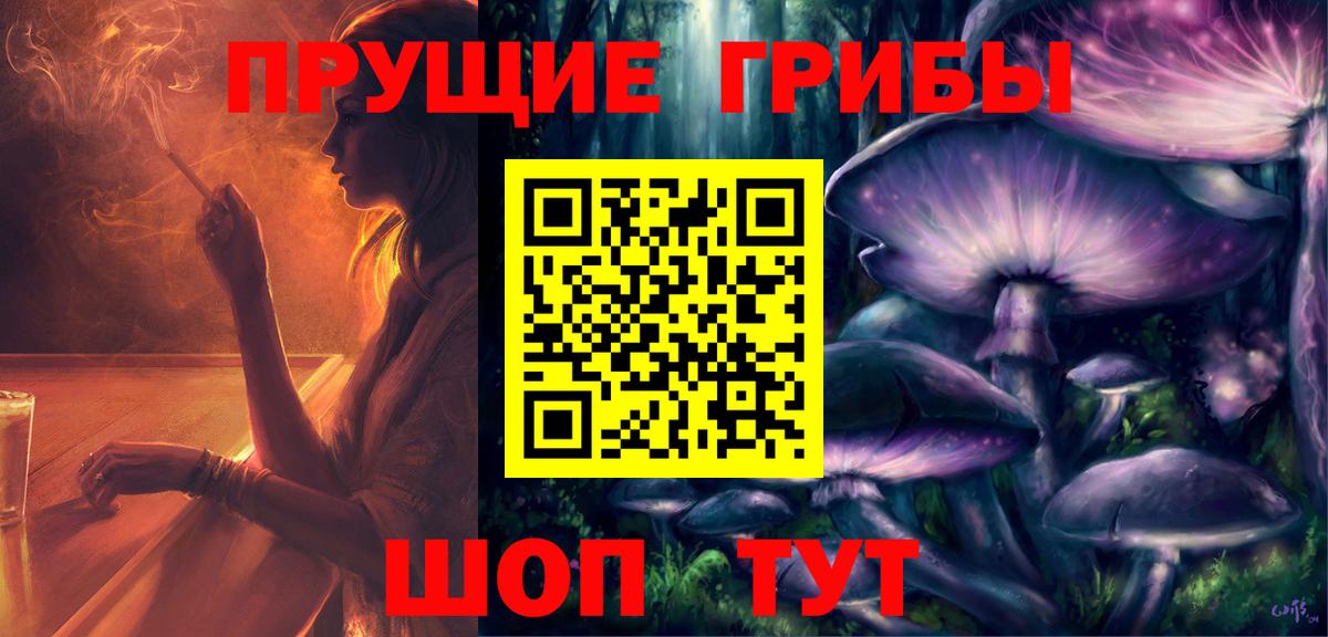 Самара  Галлюциногенные грибы прущие грибы  Вход с VPN 